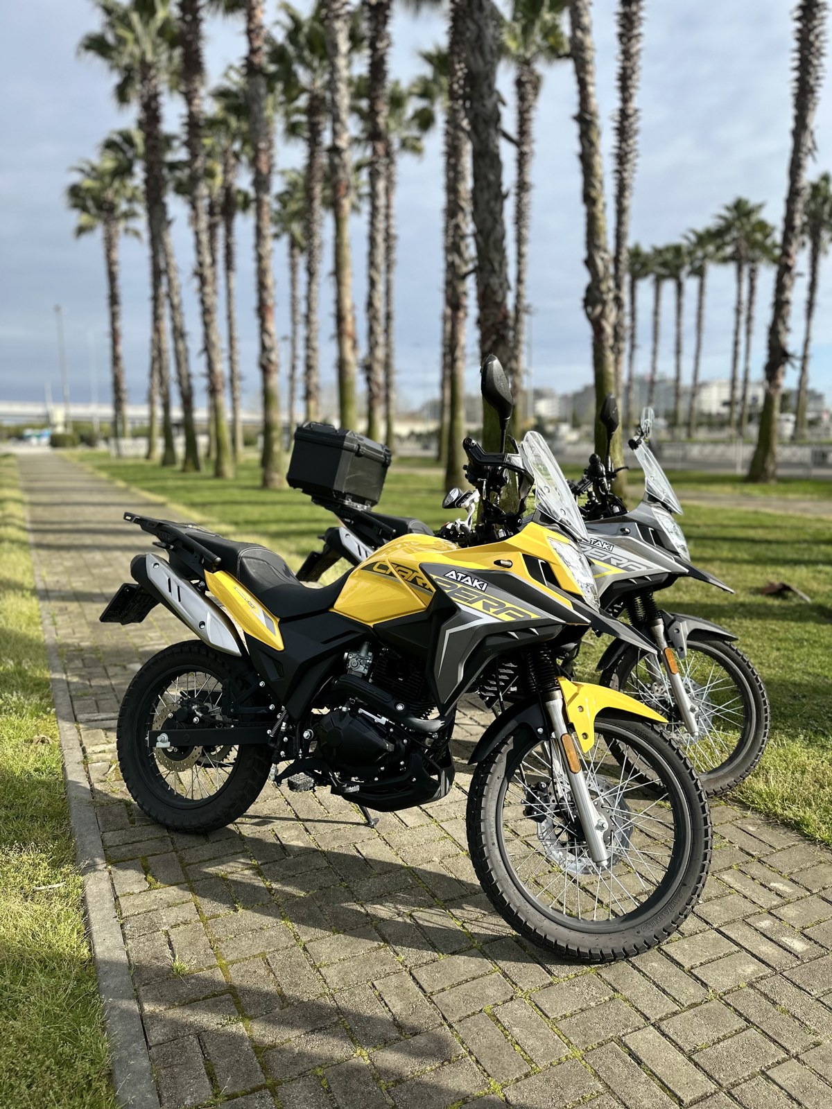 Ataki 300